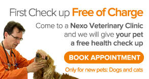 Ven a las clínicas veterinarias Nexo, primera revisión Gratis