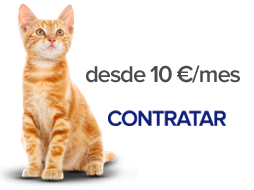 Contratar Nexoplan para gatos desde 19 € al mes