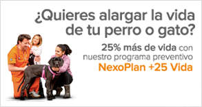 Planes de salud veterinarios Nexo