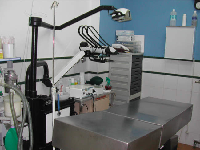 centro veterinario en punta umbría huelva