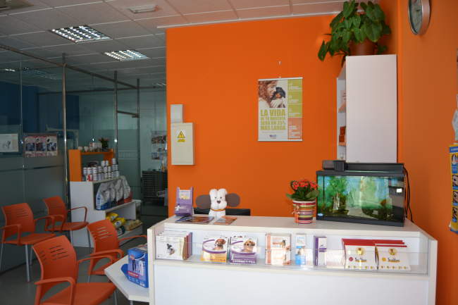 Centro VeterinarioNexo en Puerto Lumbreras, Murcia