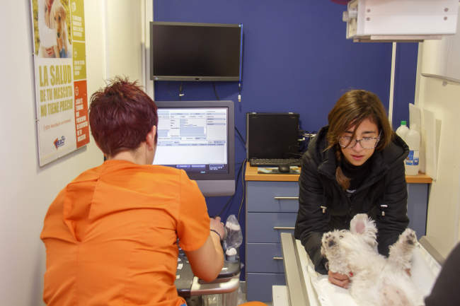 Centro Veterinario Nexo en Pego, Alicante