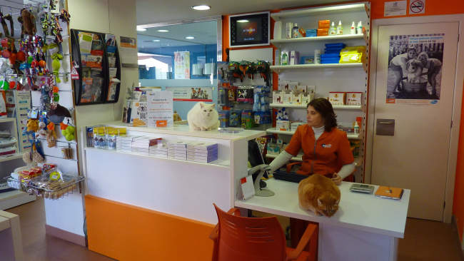 Centro veterinario en Sant Carles De La Rapita. Tarragona