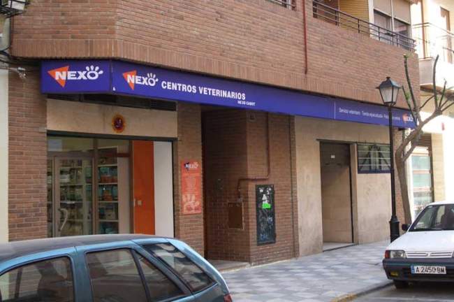 Clinica Veterinaria en Albacete Nexo Veterinarios