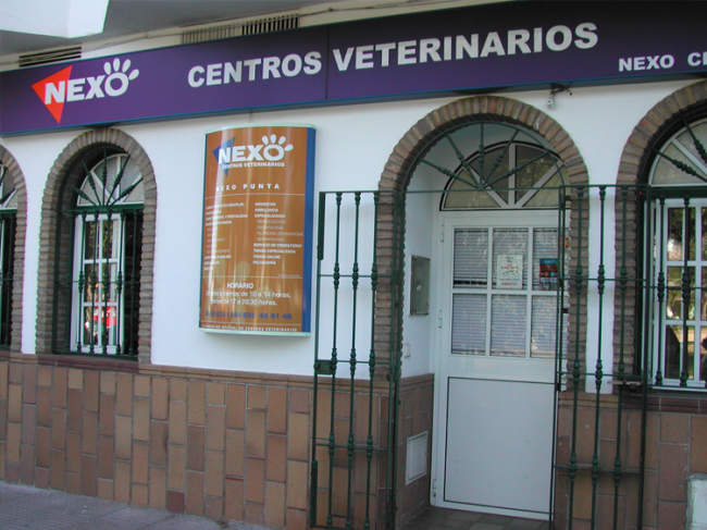 clínica veterinaria en punta umbría huelva