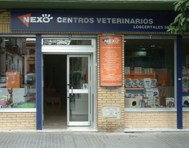 clínica veterinaria en sevilla nexo veterinarios