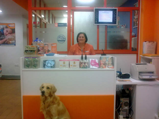 tienda de mascotas en punta umbría huelva
