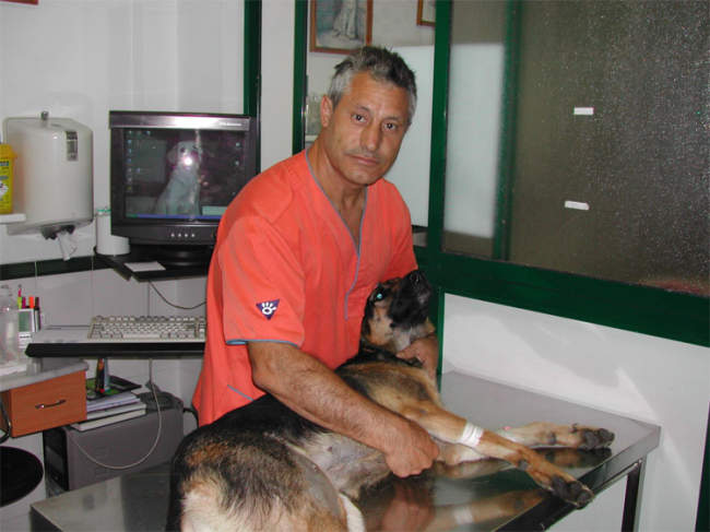 veterinarios en punta umbría huelva