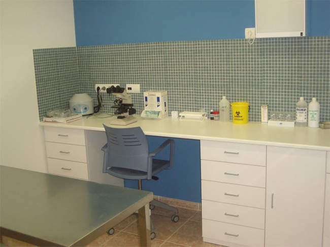Veterinario Nexo en Amposta, Tarragona