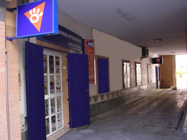 veterinario en huelva 