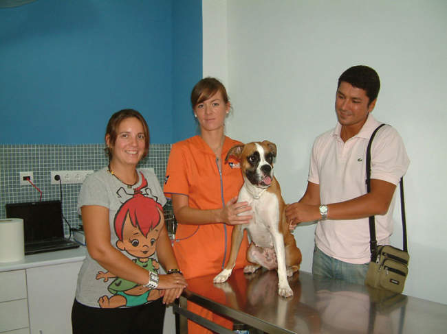 Veterinario en Sevilla. Centros Nexo Veterinarios