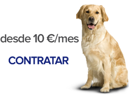 Contratar Nexoplan para perros desde 19 € al mes