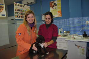 Centro veterinario nexo en Mérida