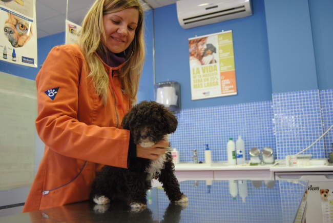 Veterinario Nexo en Mérida