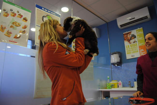 Veterinarios Nexo en Mérida