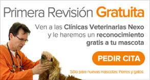 Ven a las clínicas veterinarias Nexo, primera revisión Gratis