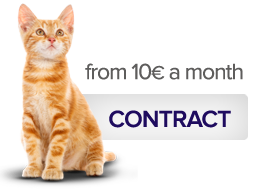 Contratar Nexoplan para gatos desde 19 € al mes