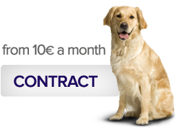 Contratar Nexoplan para perros desde 19 € al mes
