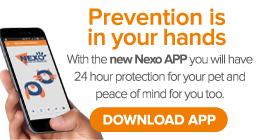 Descarga tu aplicación Nexo