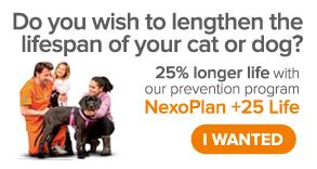 Planes de salud veterinarios Nexo