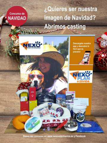 ¿Quieres ser nuestra imagen de Navidad? Abrimos casting