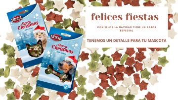 Promoción de Navidad 