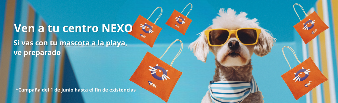 CAMPAÑA VERANO NEXO 